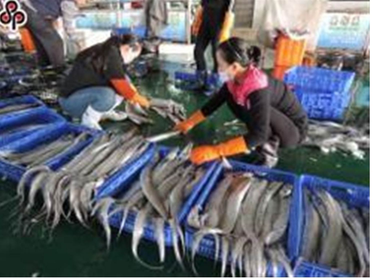 China's Elimination of ECFA "Benefiting Taiwan" Measures Augurs New Script towards Taiwan Post-Election